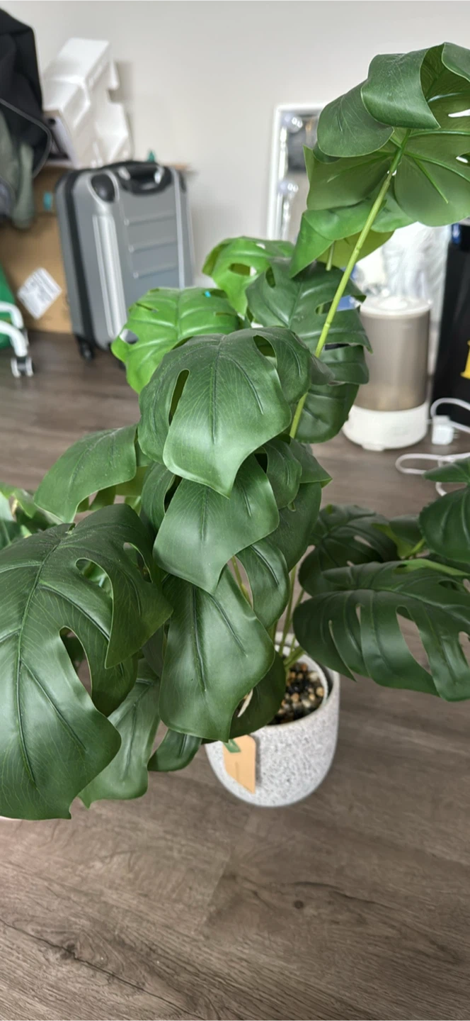 Artificial plants - photo 3