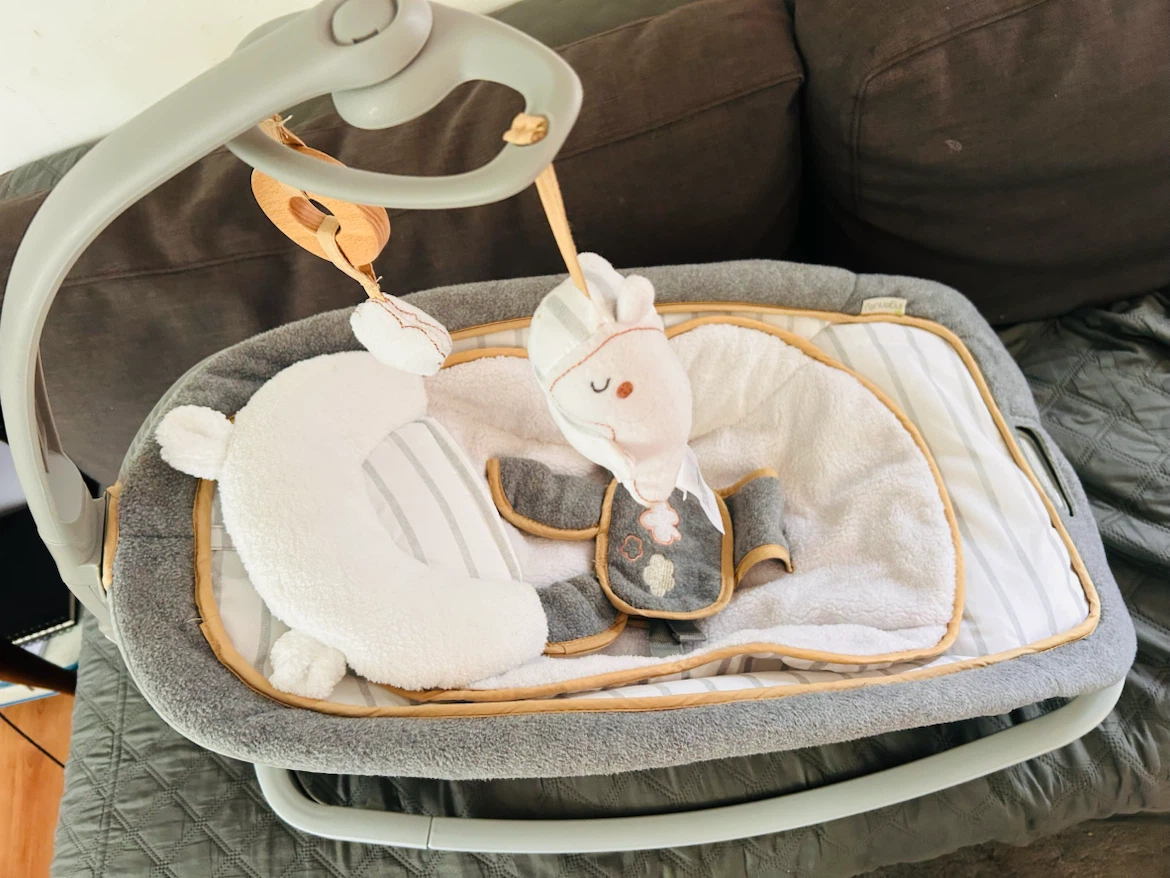 Ingenuity Baby Rocker & Stationary Seat