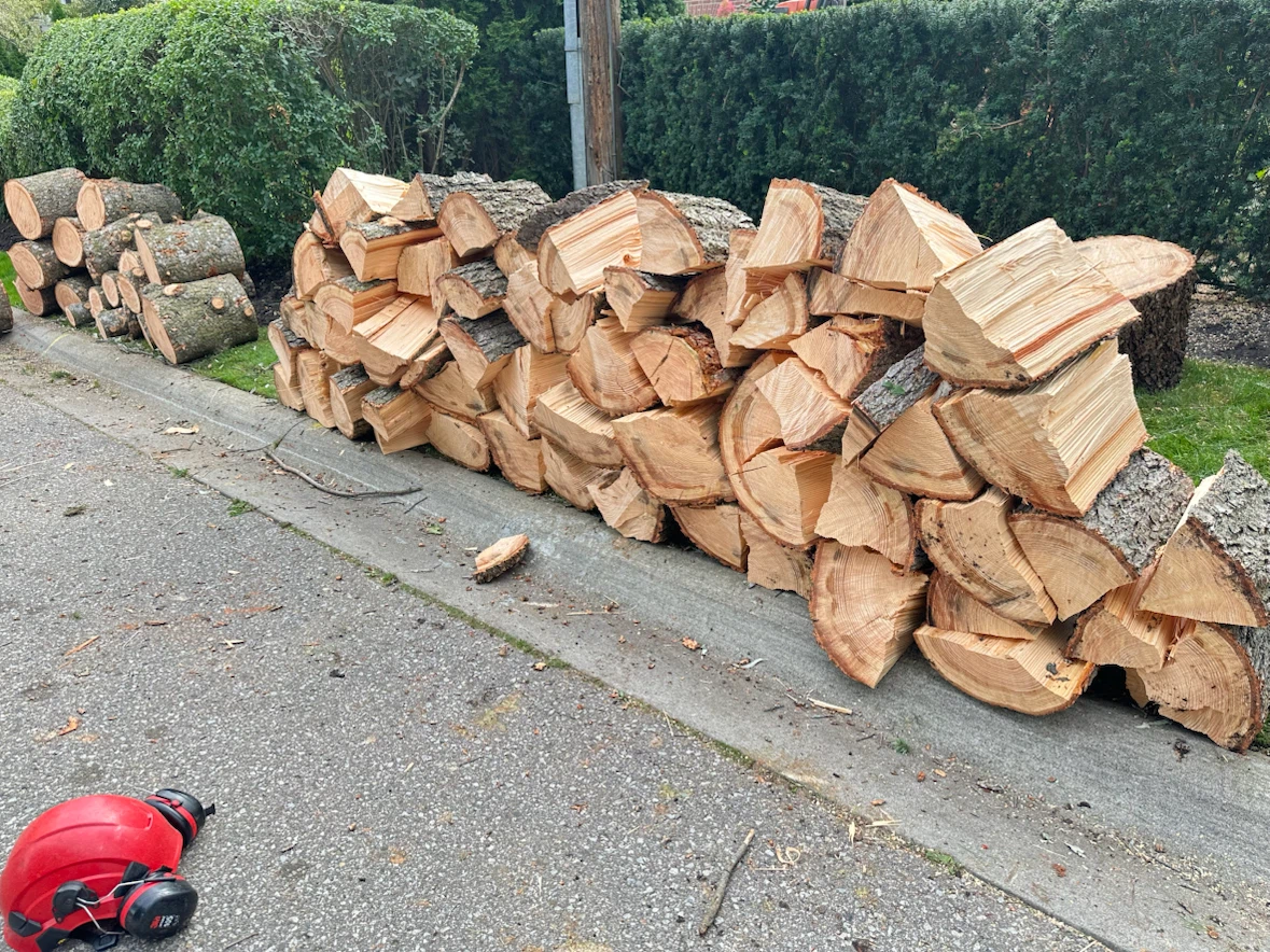 Free firewood