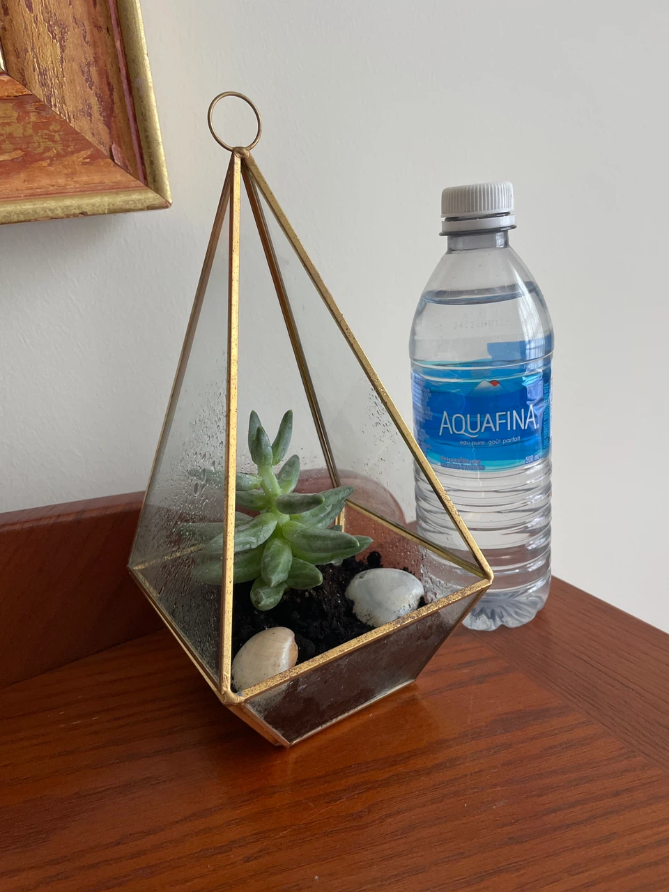 Geometric Glass Succulent Terrarium - photo 3