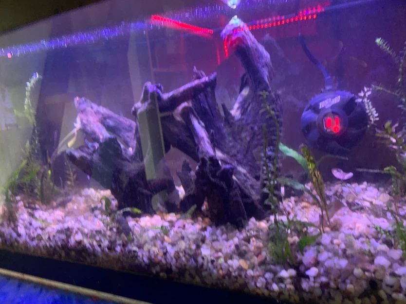 Fish tank full setup - photo 2