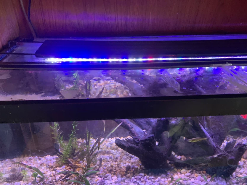 Fish tank full setup - photo 4