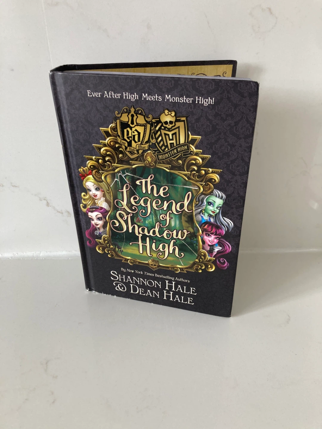 🏈The Legend of Shadow High by Shannon & Dean Hale