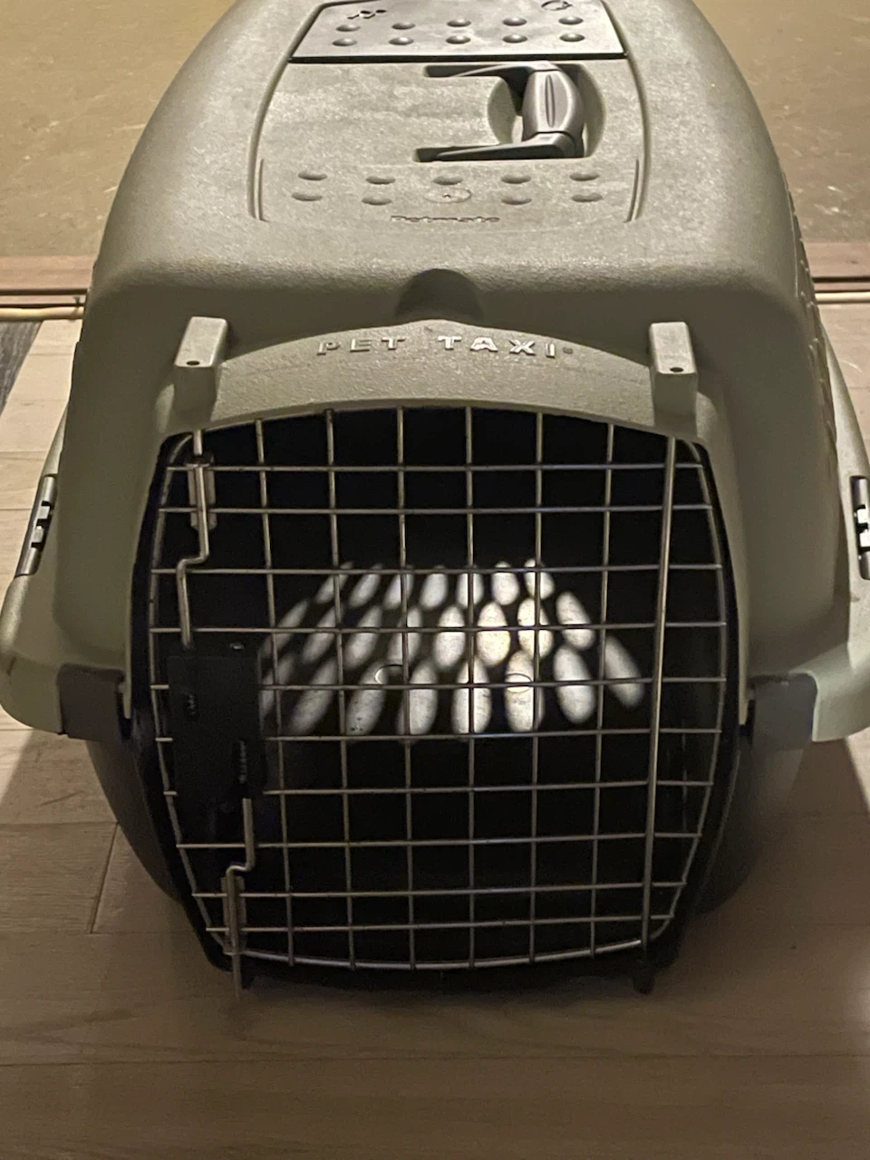 Petmate Pet Taxi Carrier