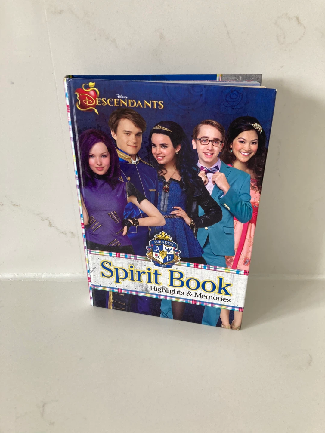 🏈Disney Descendants Who's Got Spirit? Book