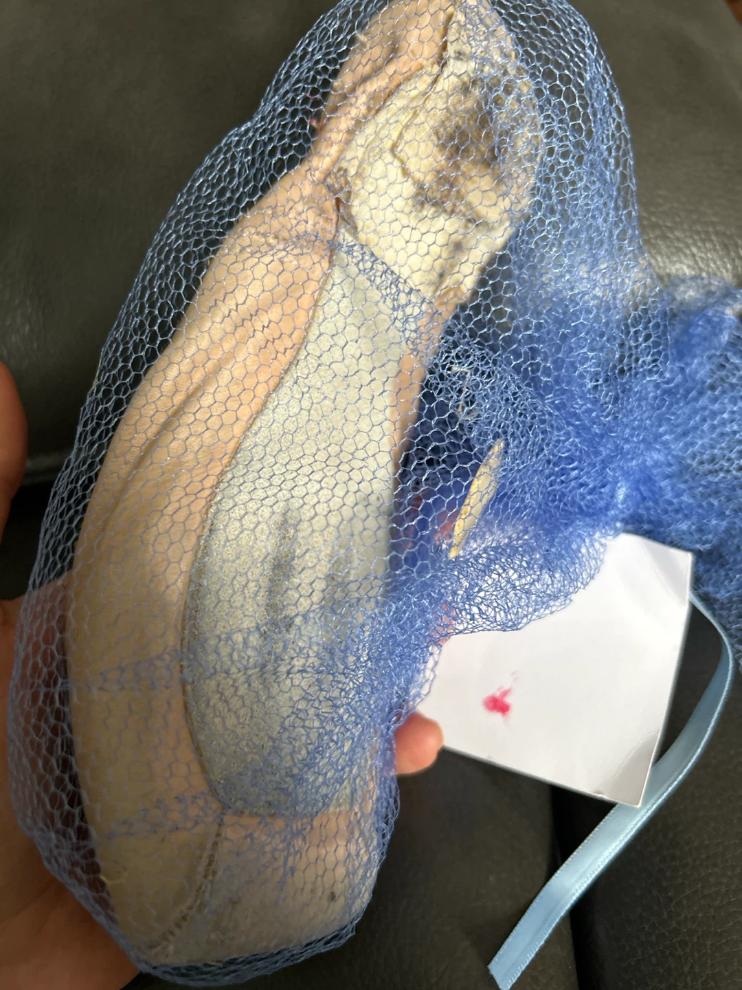 Ballet Jorgen Canada Pointe Shoe Souvenir - photo 3