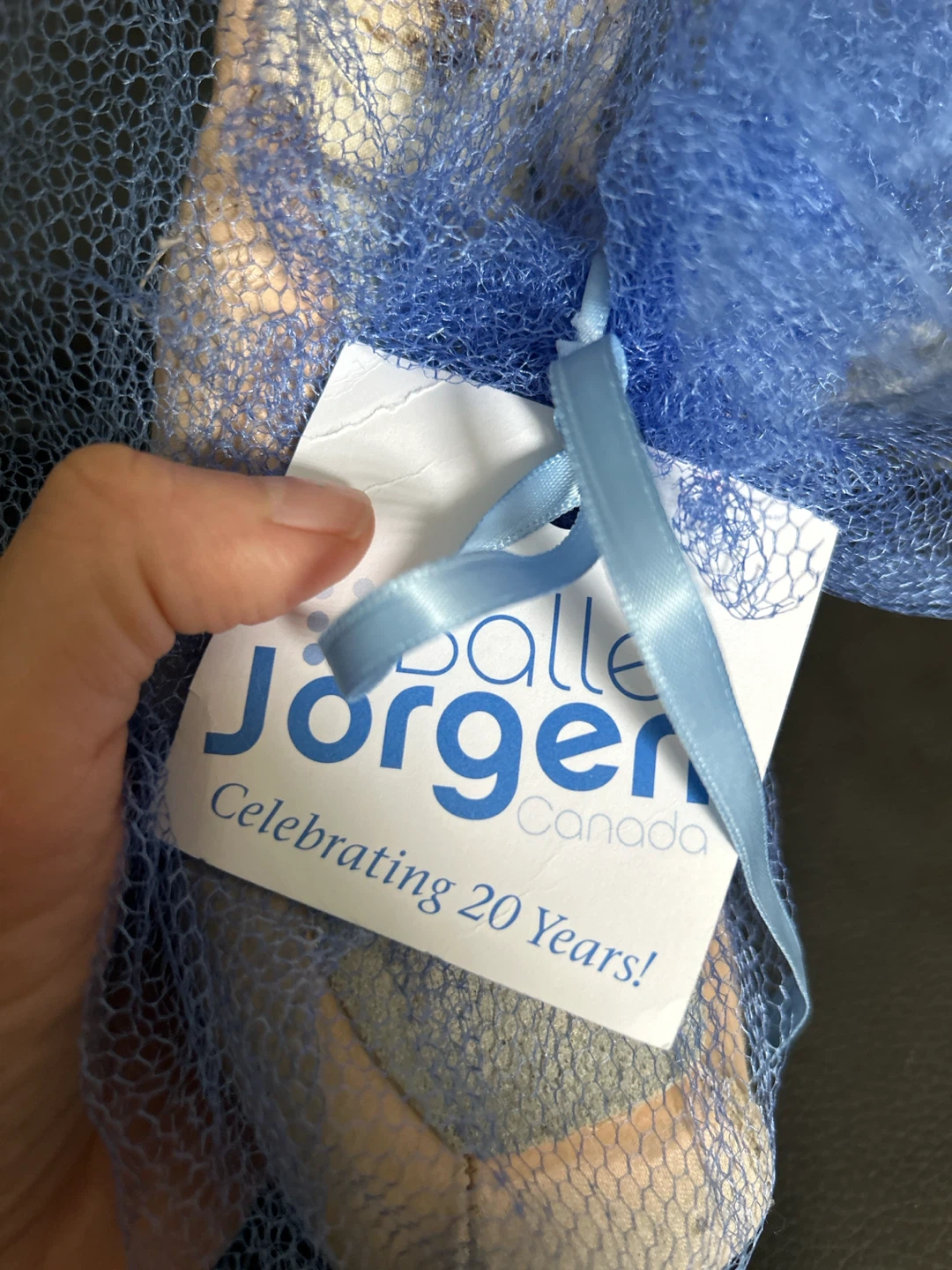 Ballet Jorgen Canada Pointe Shoe Souvenir - photo 4
