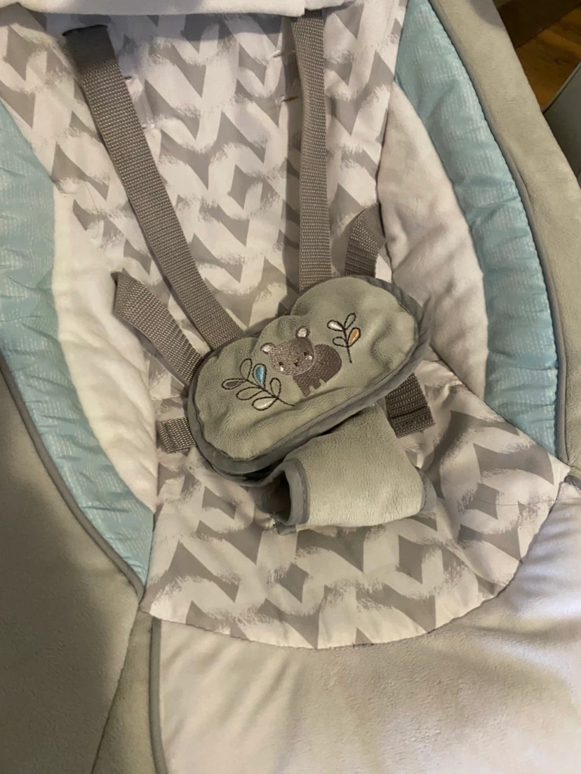 Clean Ingenuity Baby Swing - photo 2