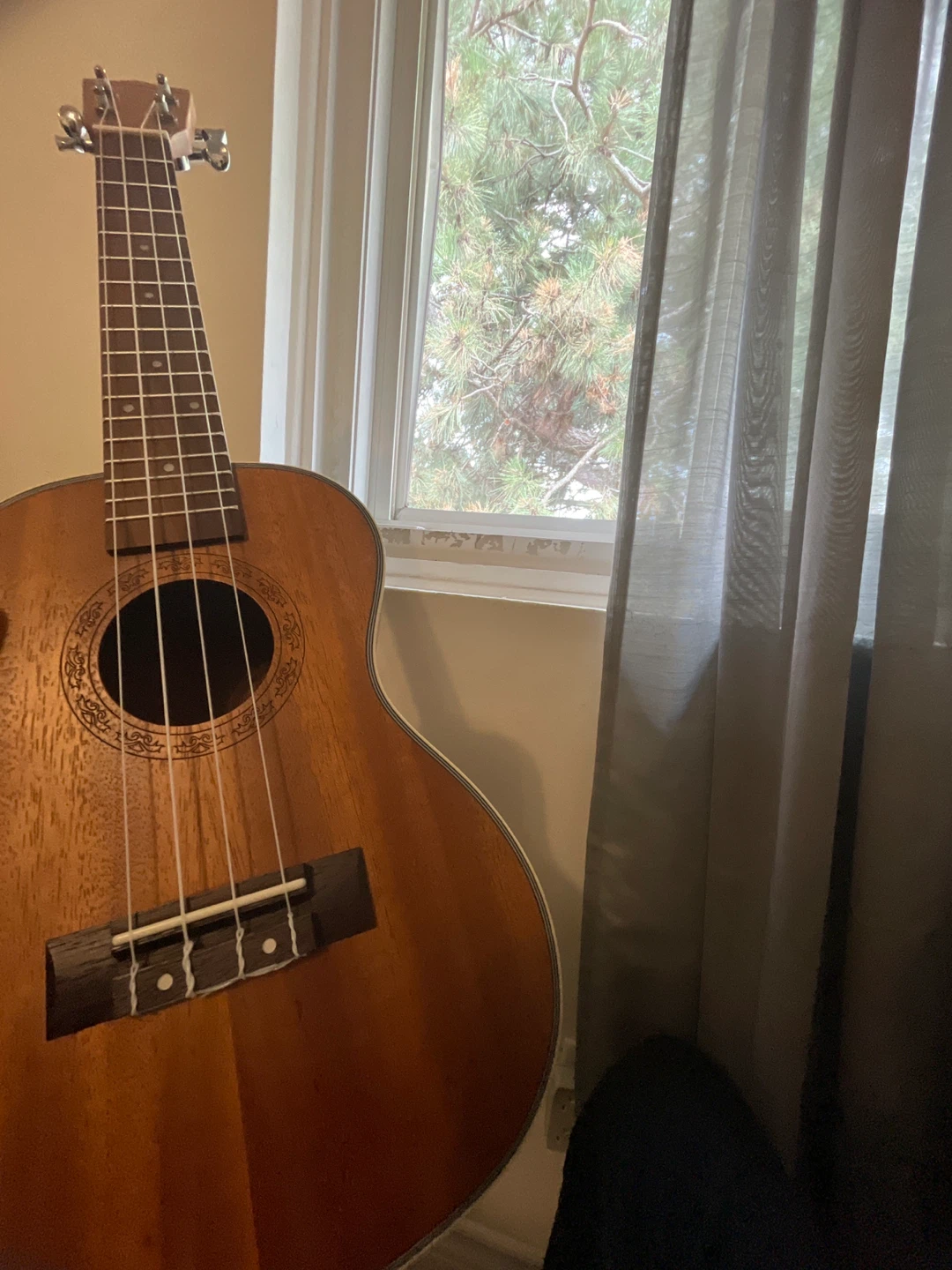 Acoustic Ukulele