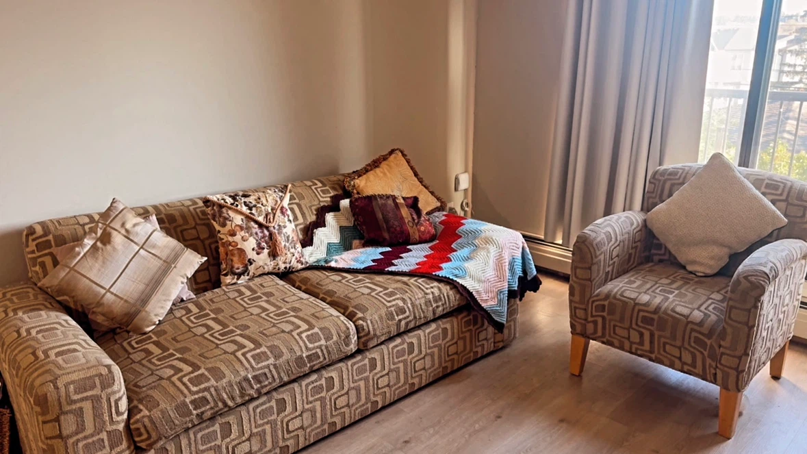 Sofa Bed / Pull-Out Couch