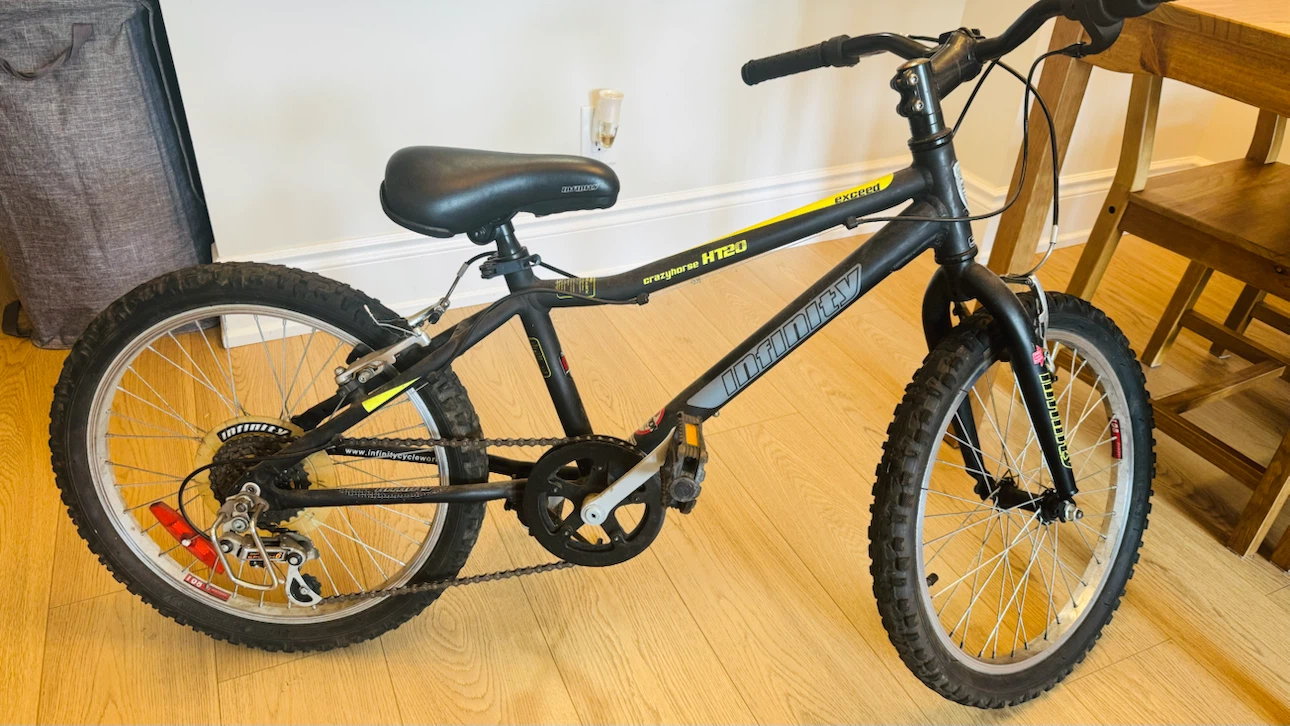 Infinity Crazyhorse HT20 Mountain Bike