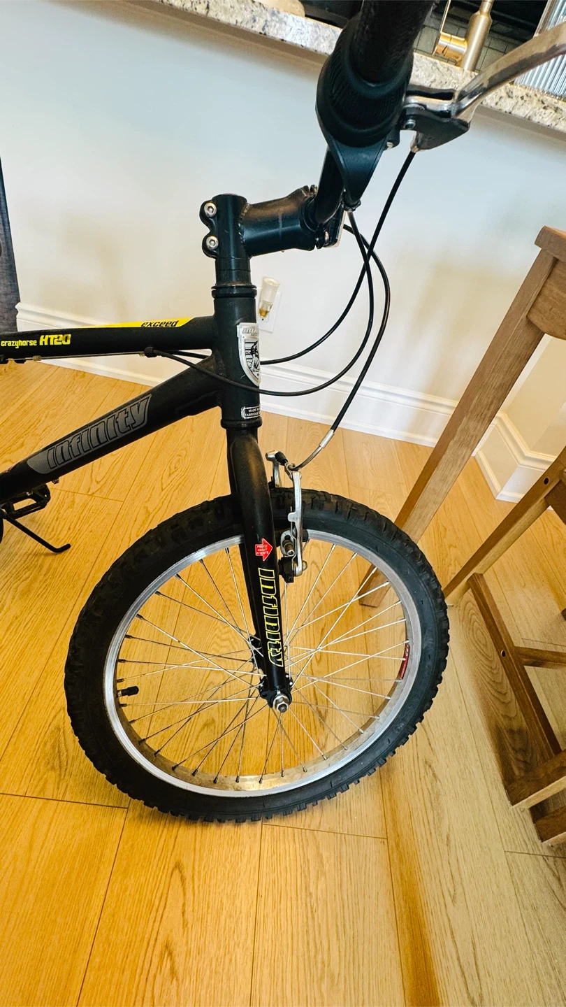 Infinity Crazyhorse HT20 Mountain Bike - photo 3