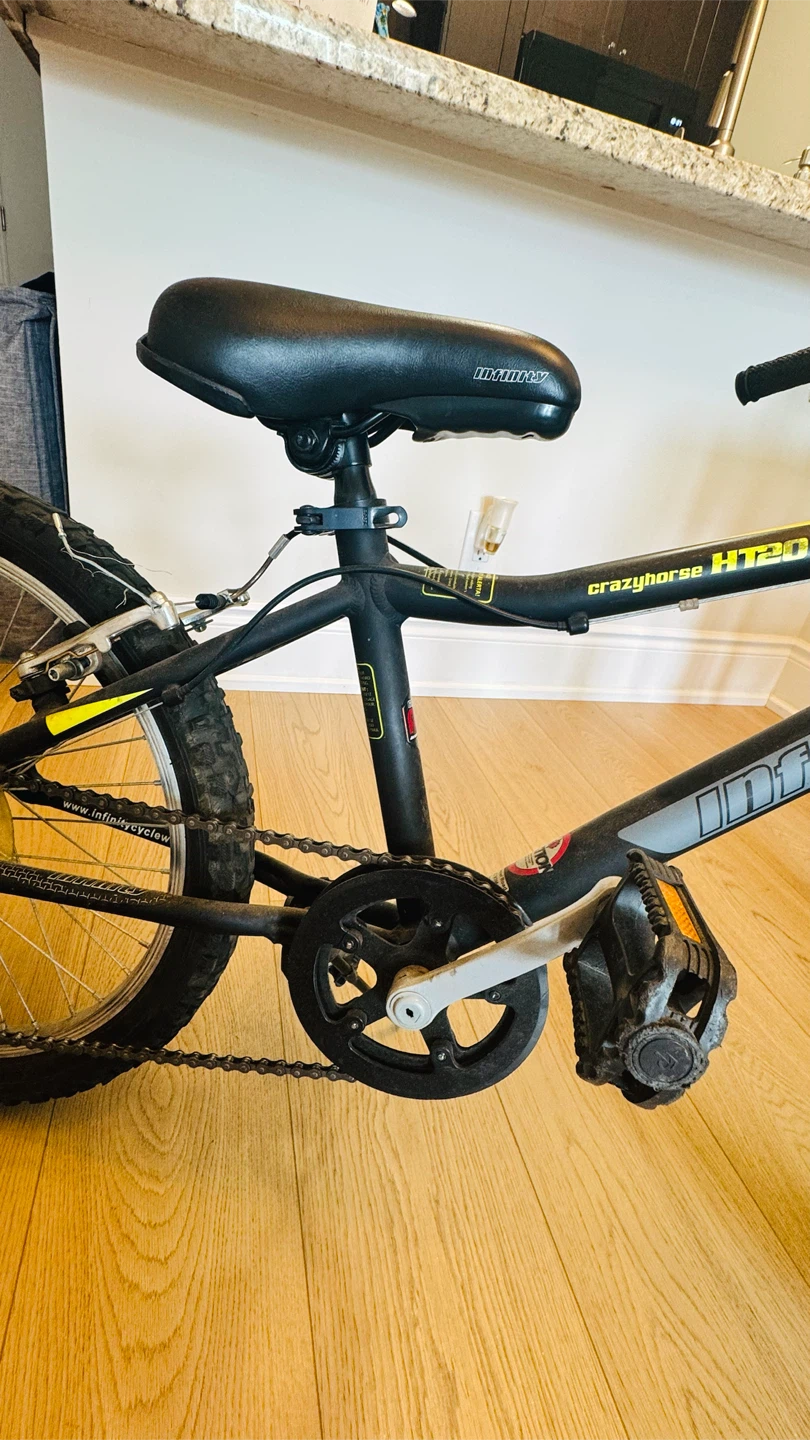 Infinity Crazyhorse HT20 Mountain Bike - photo 4