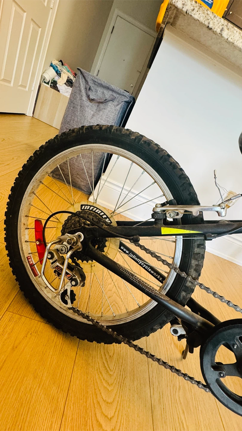 Infinity Crazyhorse HT20 Mountain Bike - photo 5