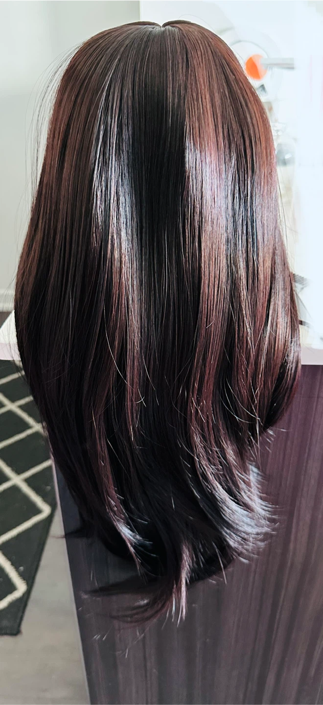 Dark Brown Wig