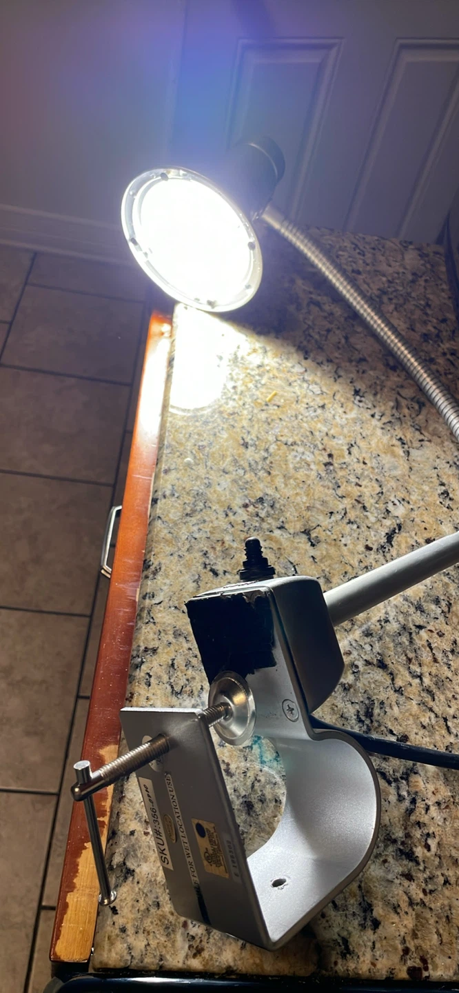 Silver Clamp-On Flexible Desk Lamp - photo 2