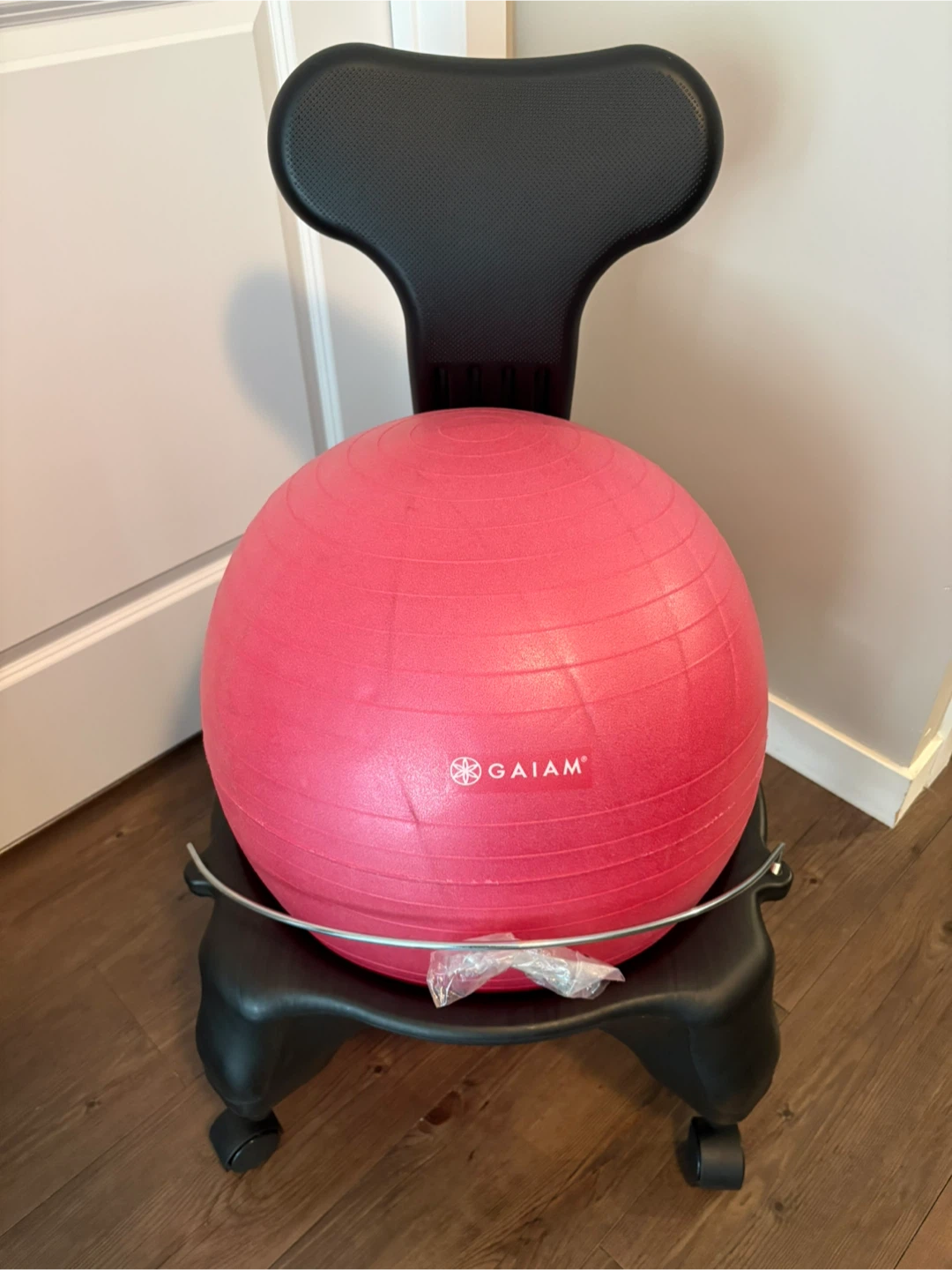 GAIAM Ball Chair