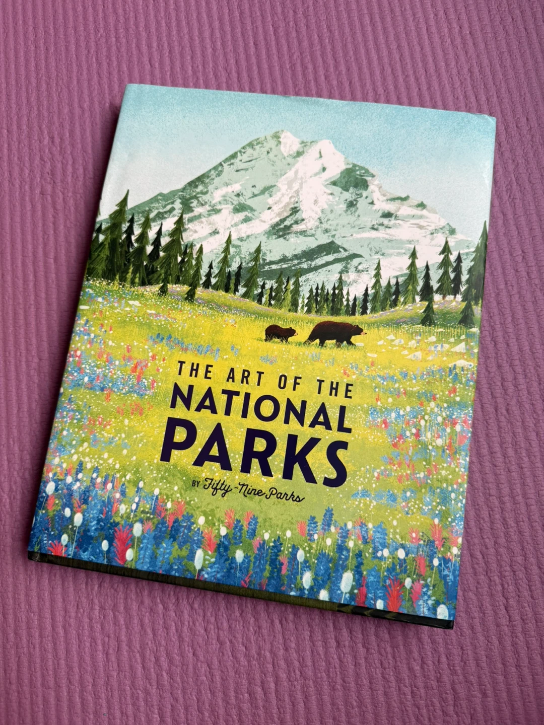 🏈The Art of the National Parks by Fifty-Nine Parks