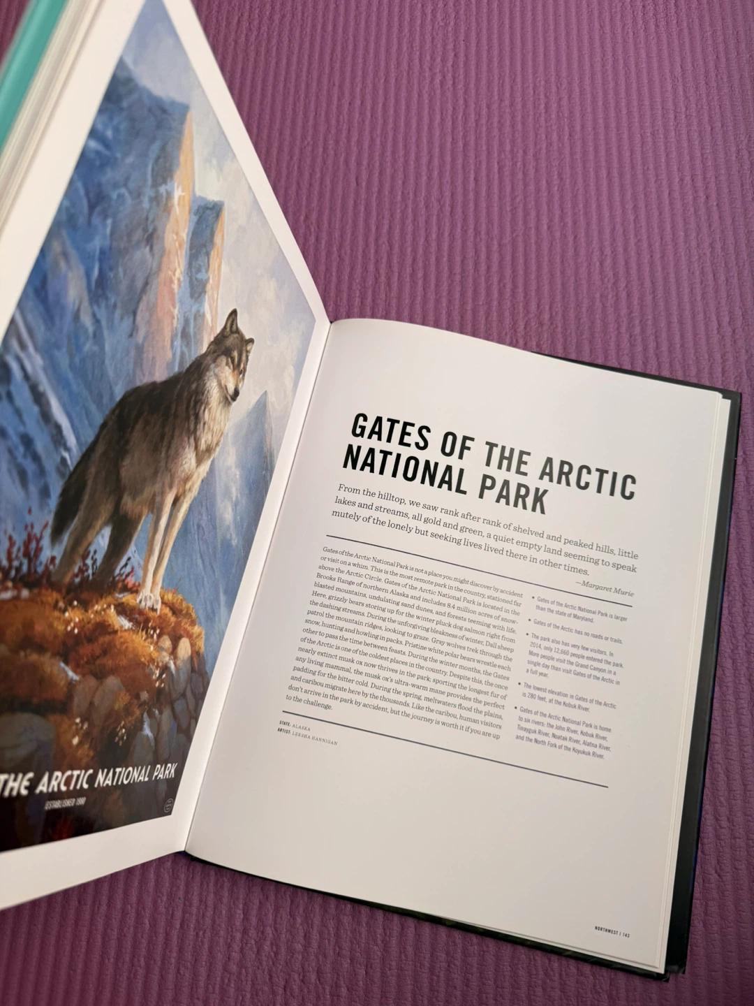 🏈The Art of the National Parks by Fifty-Nine Parks - photo 4