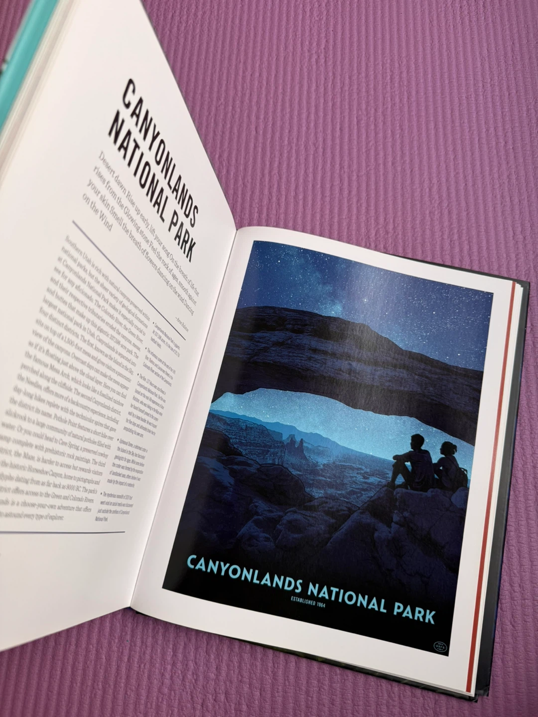 🏈The Art of the National Parks by Fifty-Nine Parks - photo 5