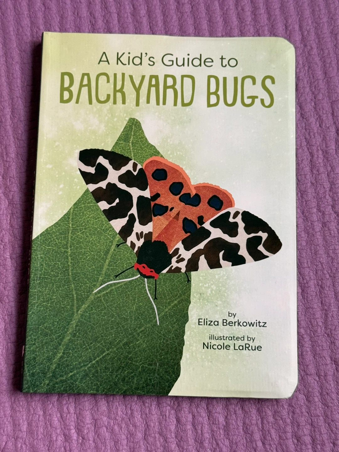🏈A Kid's Guide to Backyard Bugs Field Guide