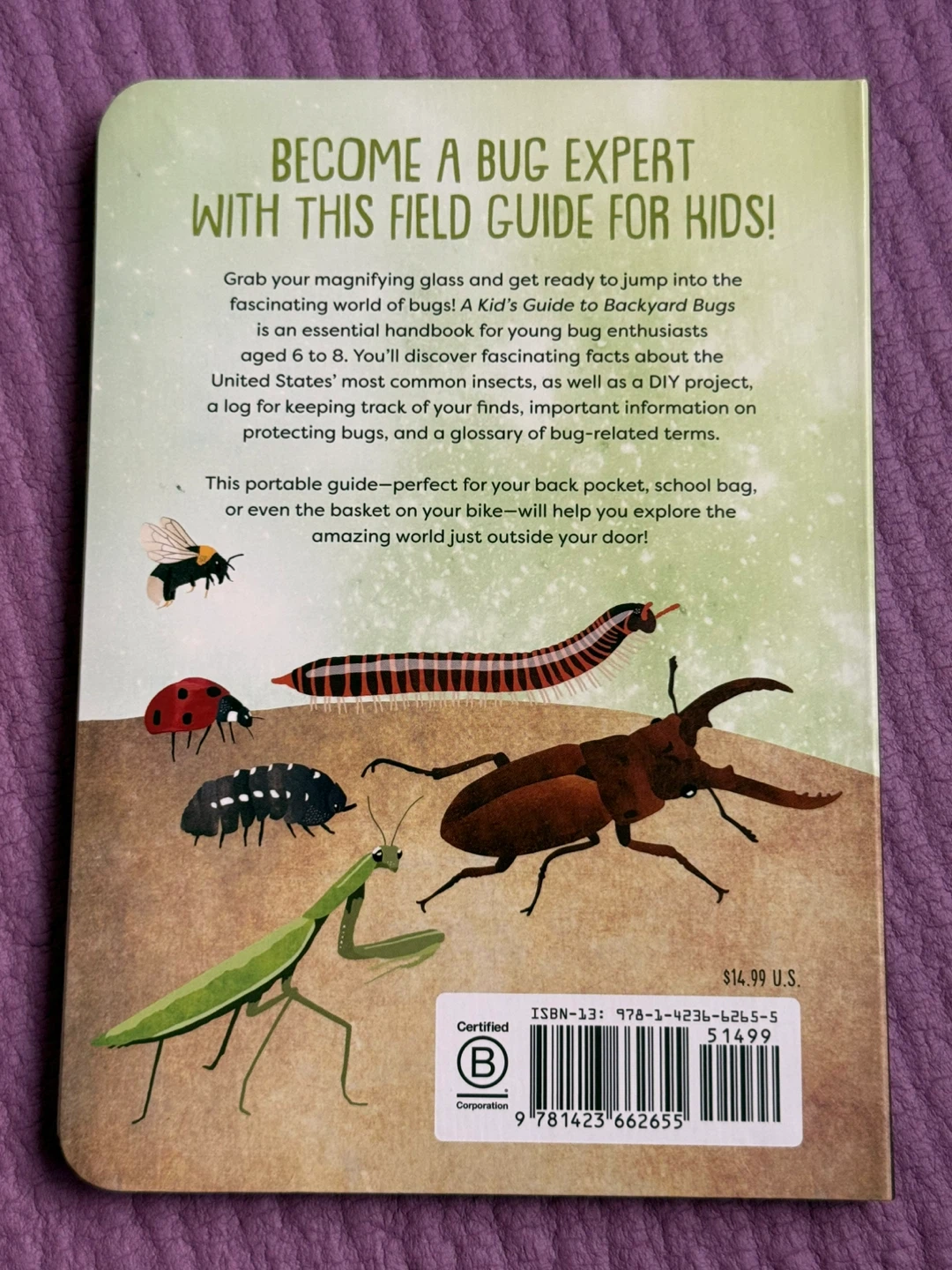 🏈A Kid's Guide to Backyard Bugs Field Guide - photo 5