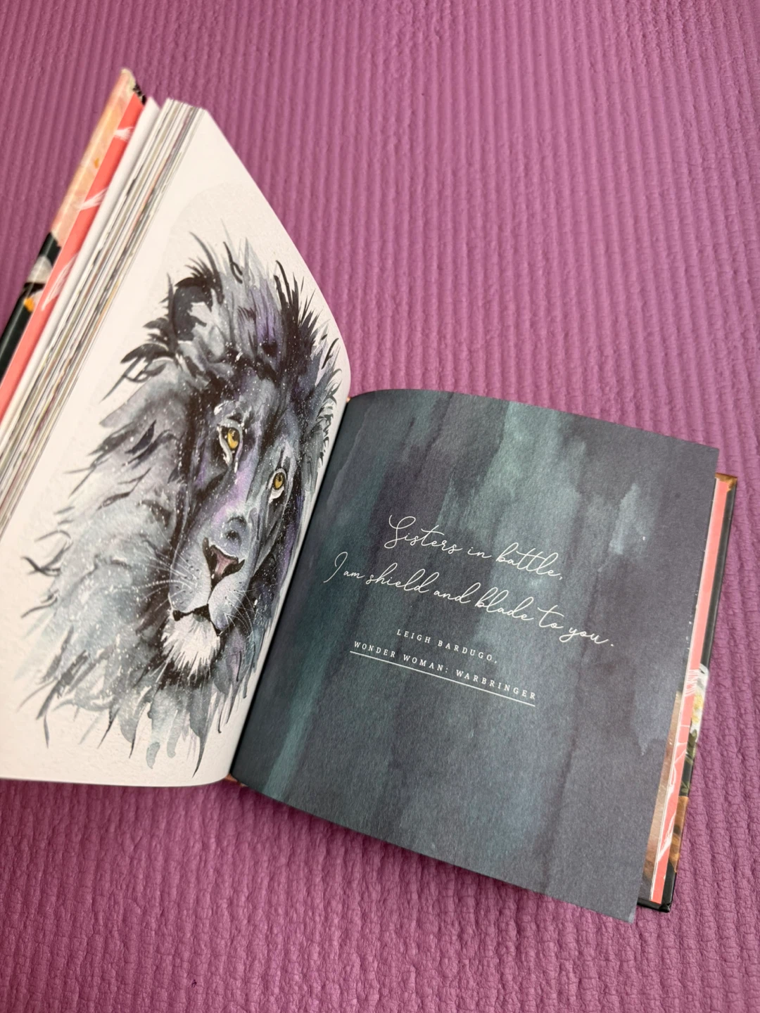 🏈Sisterhood Illustrated Book by Sarah Cray