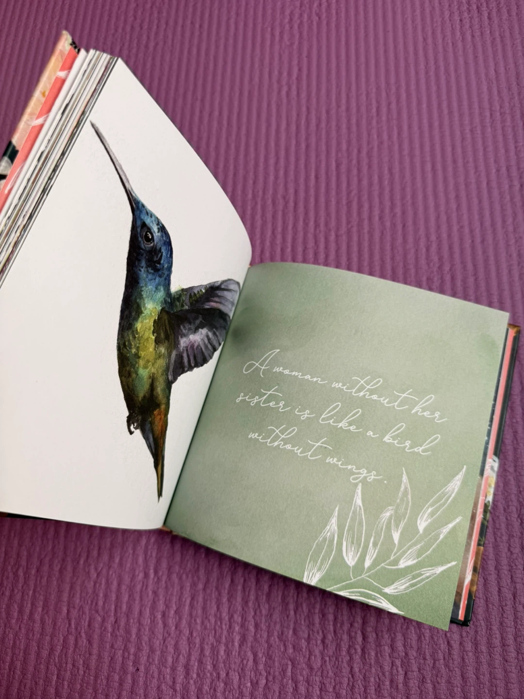 🏈Sisterhood Illustrated Book by Sarah Cray - photo 5
