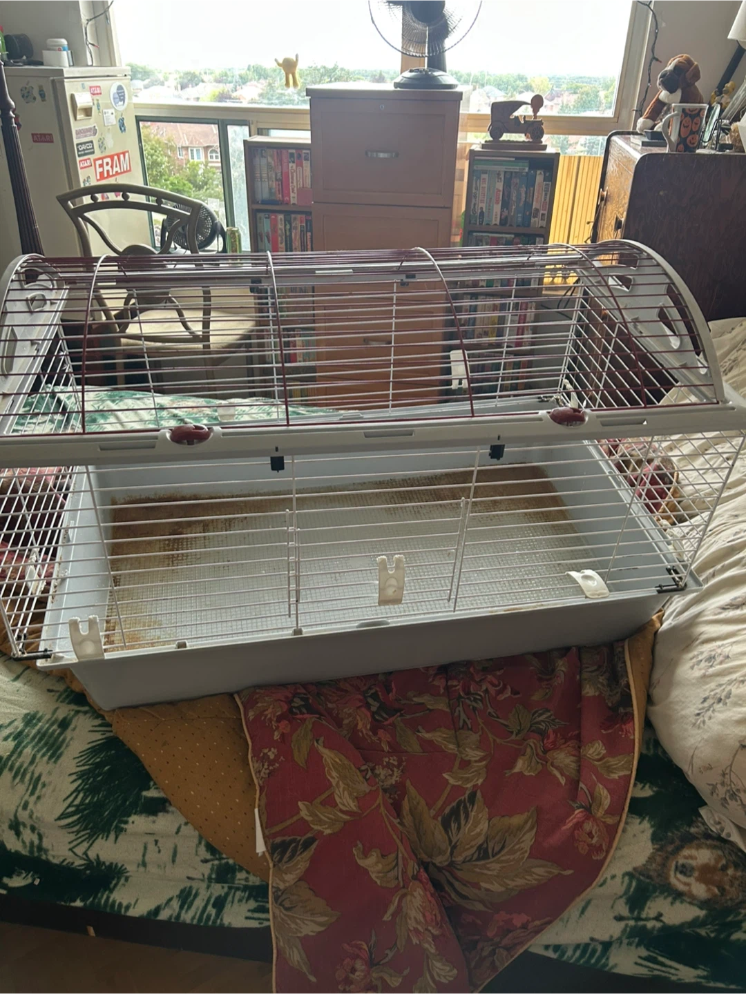 Large Pet Cage with Arched Wire Top