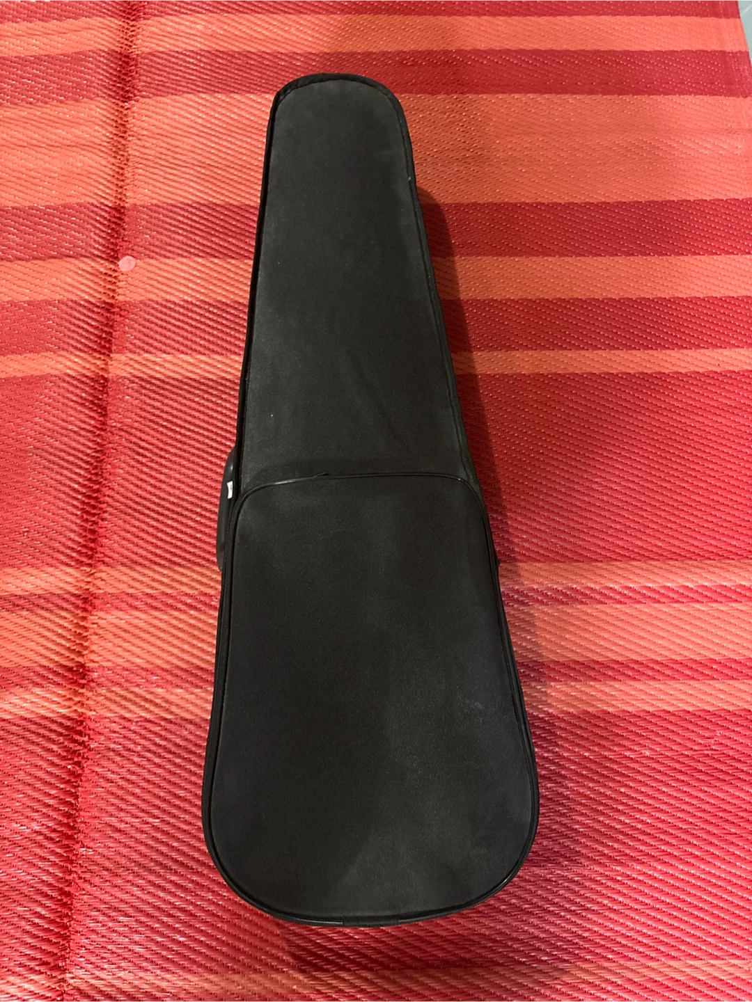 Song Violin with Hard Case - photo 2