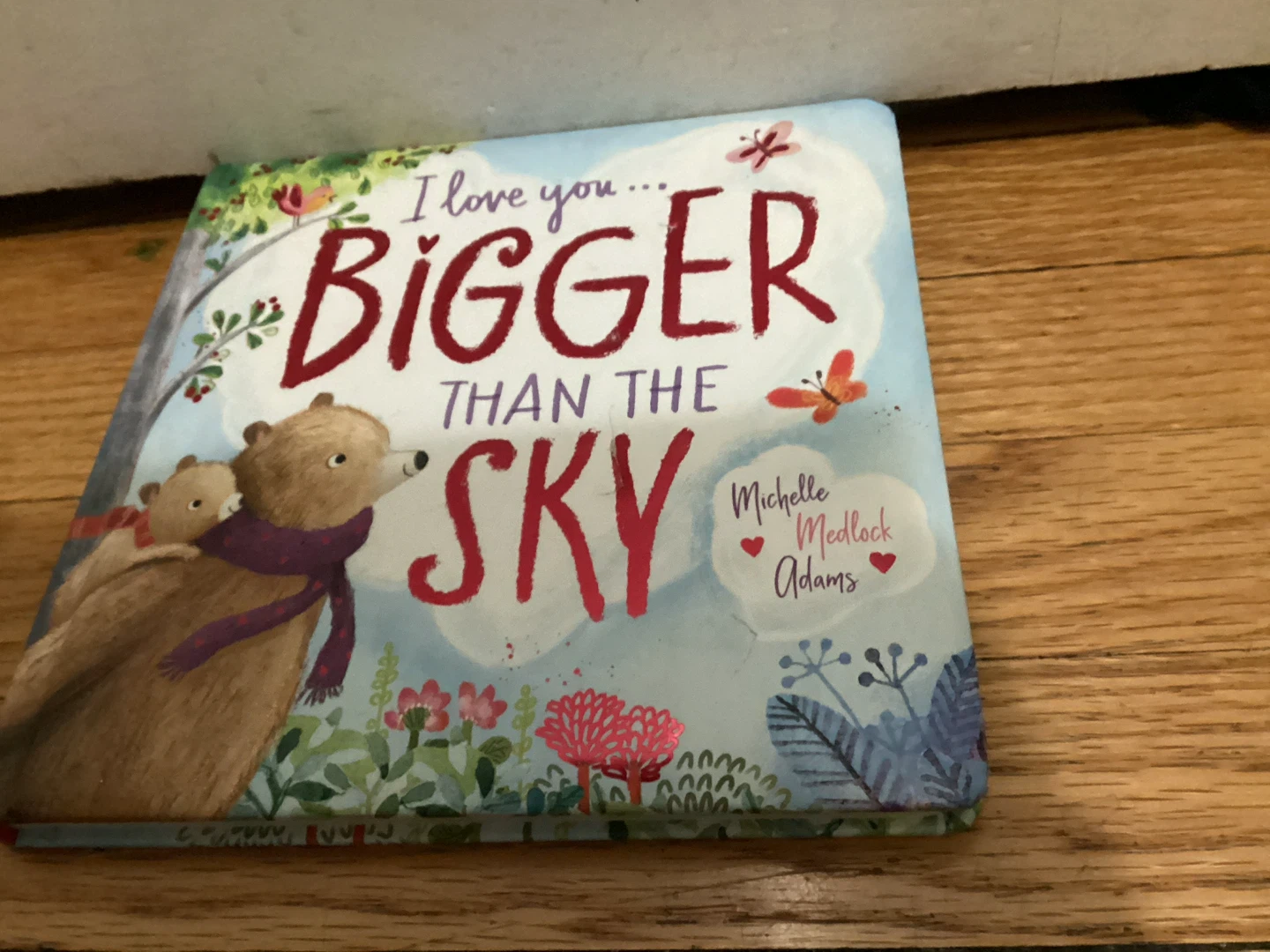 🏈 I Love You Bigger Than The Sky Book