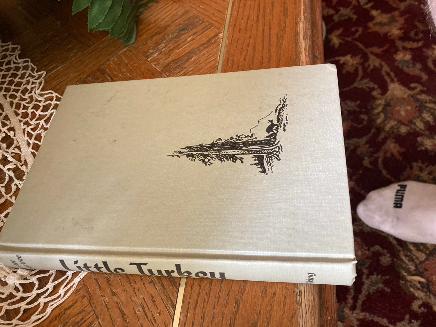 Little Turkey Book