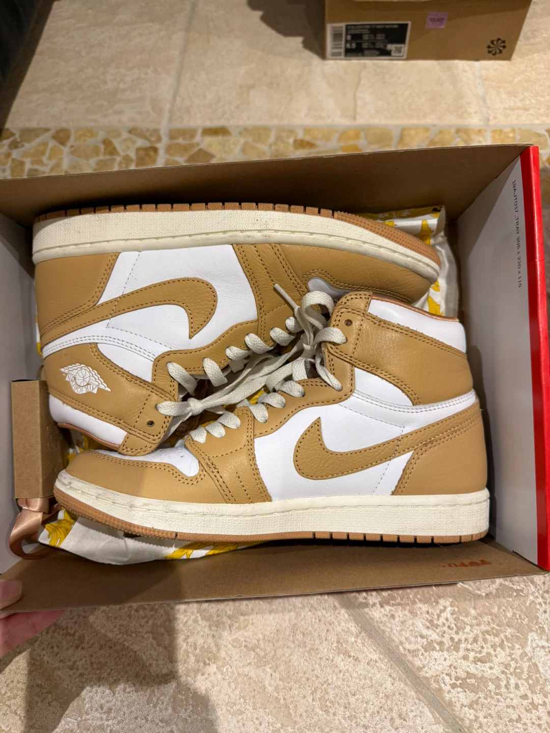 Nike Air Jordan 1 Retro High OG Praline Women's US 7.5