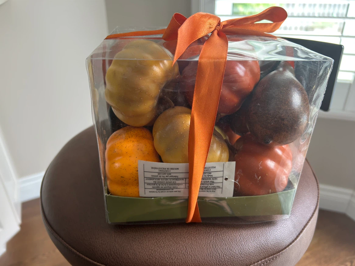 BRAND NEW THANKSGIVING/FALL GOURDS (READ LISTING)