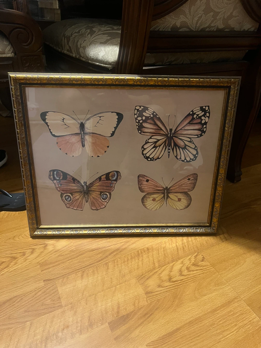 Vintage Style Butterfly Print Framed Art 🏈