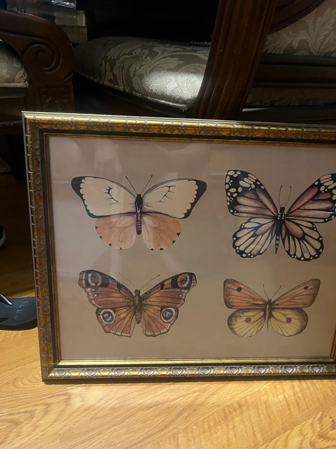 Vintage Style Butterfly Print Framed Art 🏈 - photo 2