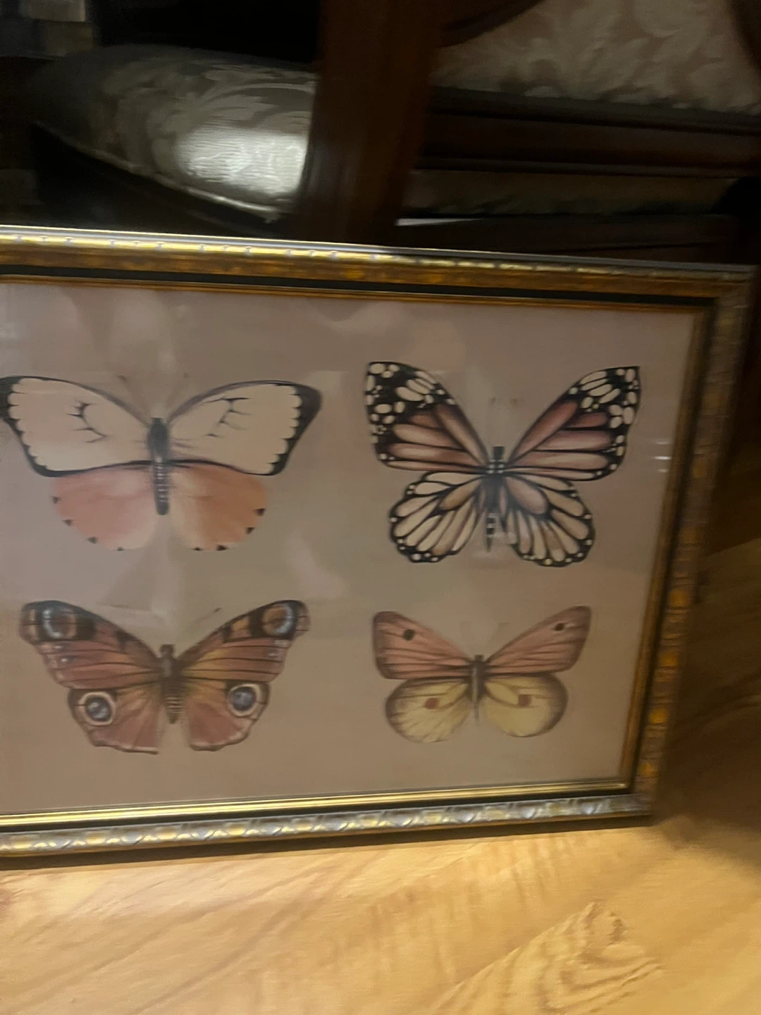 Vintage Style Butterfly Print Framed Art 🏈 - photo 3