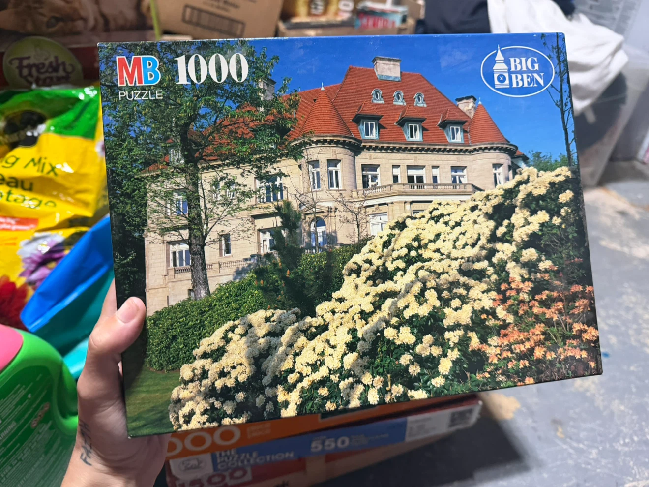 Puzzles different kinds read description