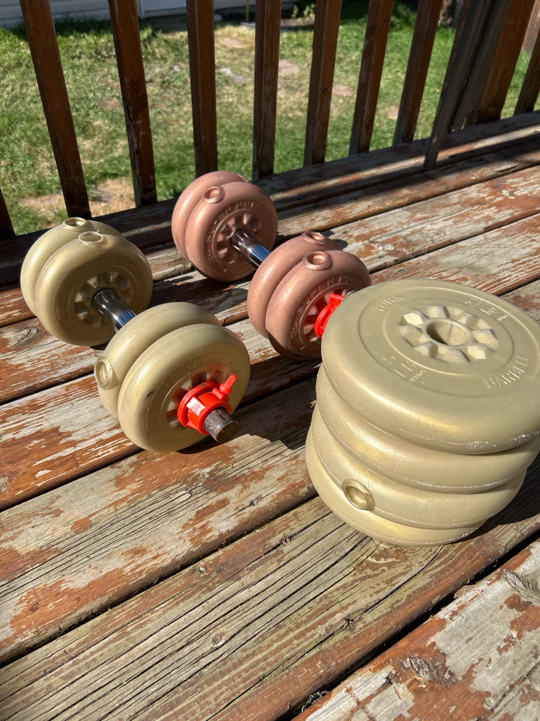 Adjustable Dumbbell Set