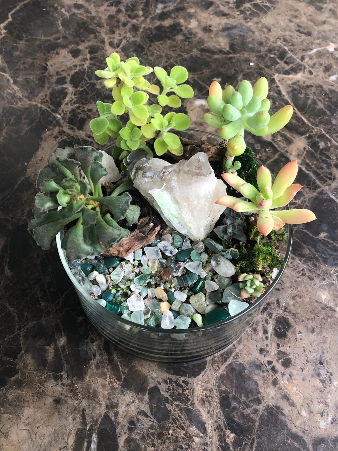 Glass Succulent Terrarium with Crystal