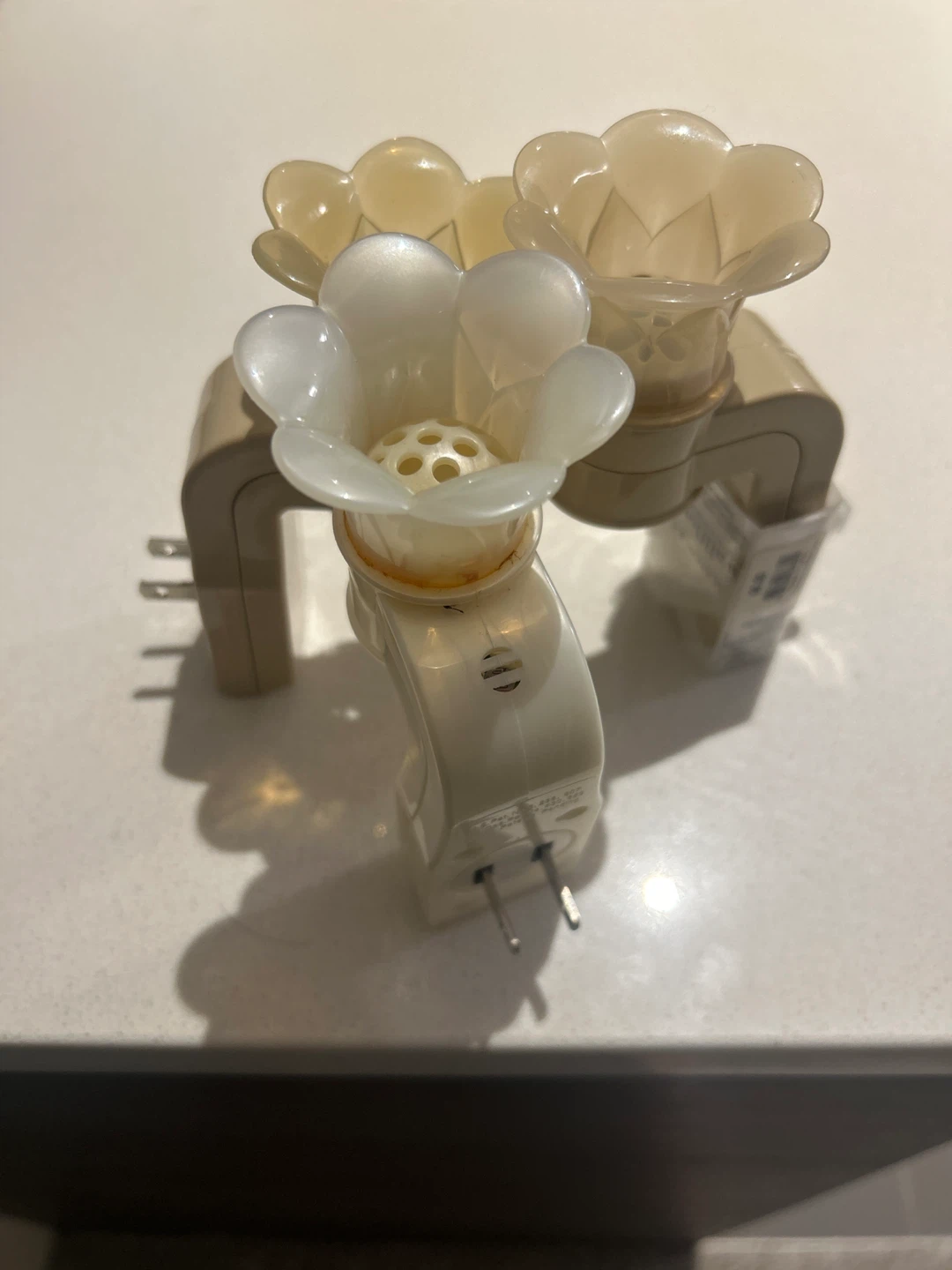 Bath & Body Works Wallflowers Plugs - photo 3