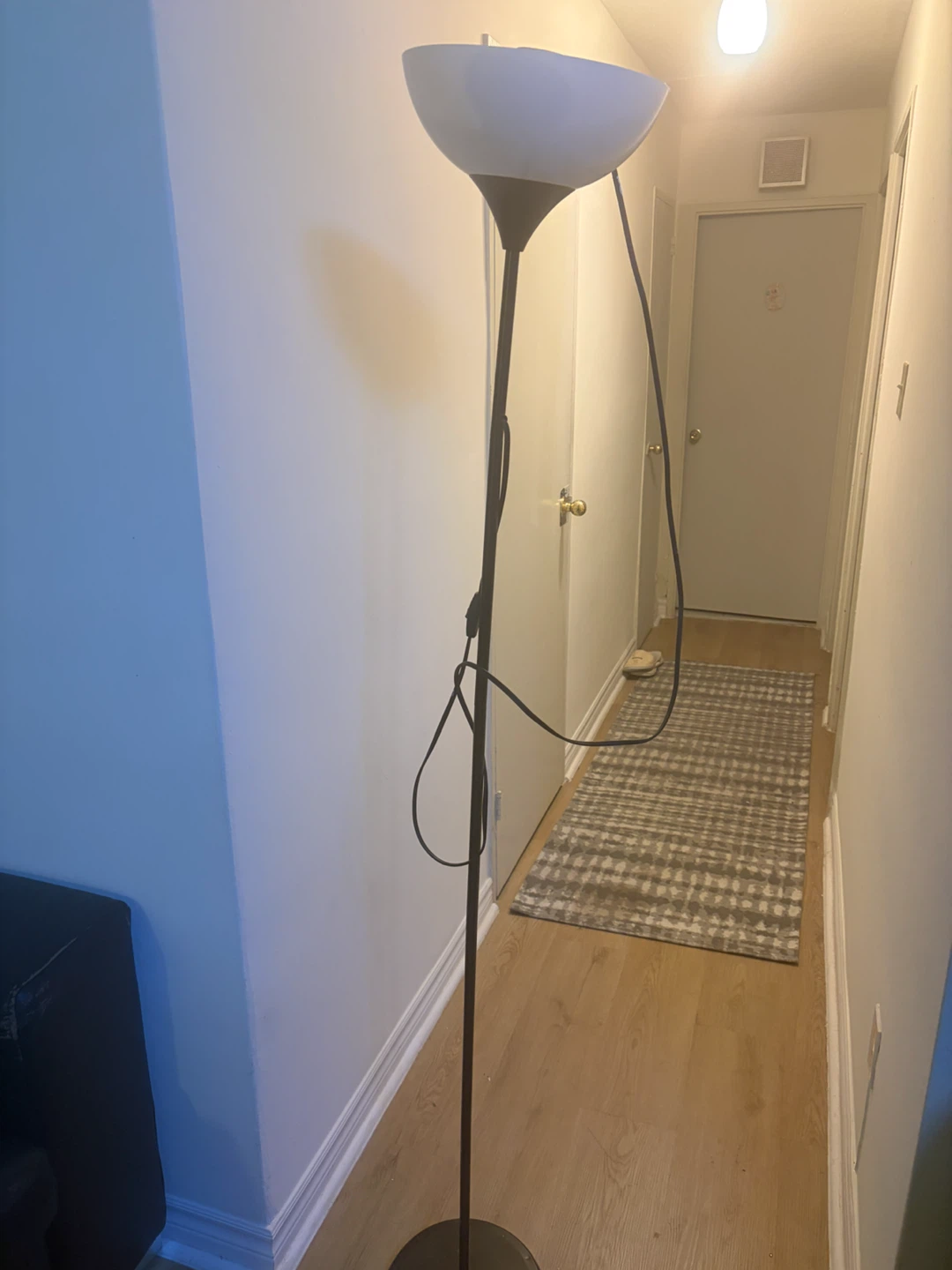 Floor lamp and ornate table lamp