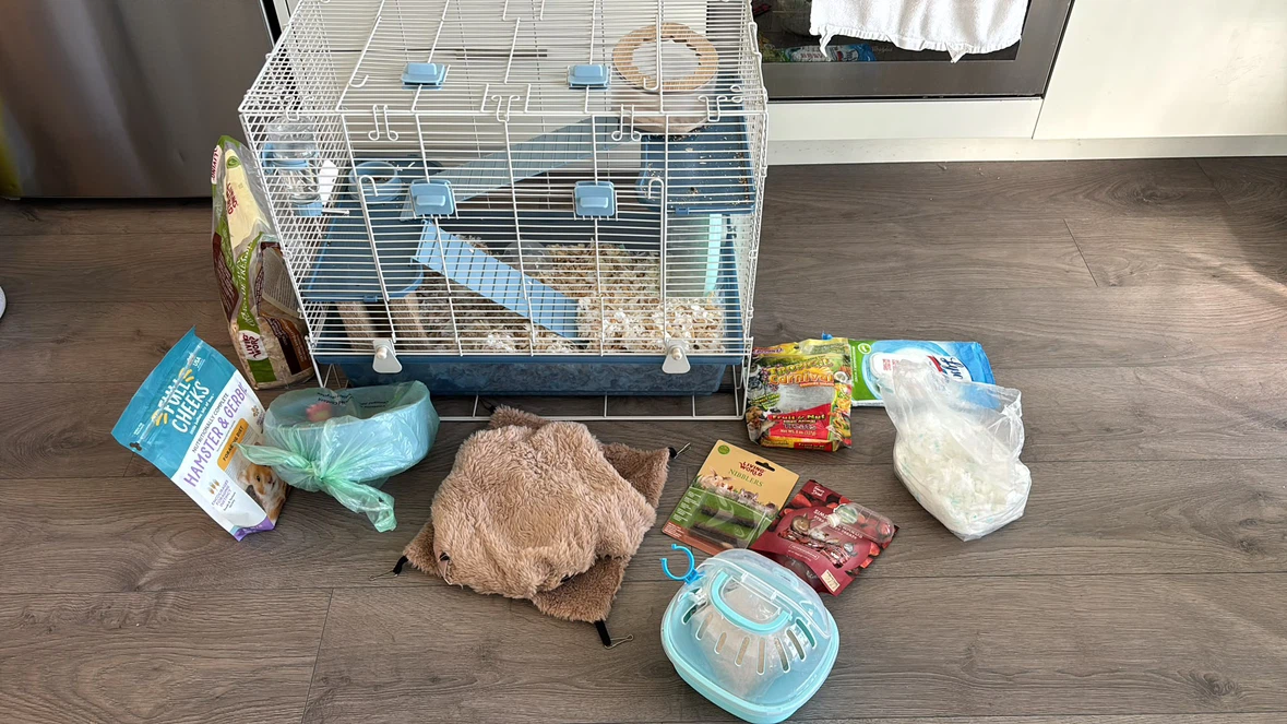 Hamster Adoption!! Looking for kind and caring new owner