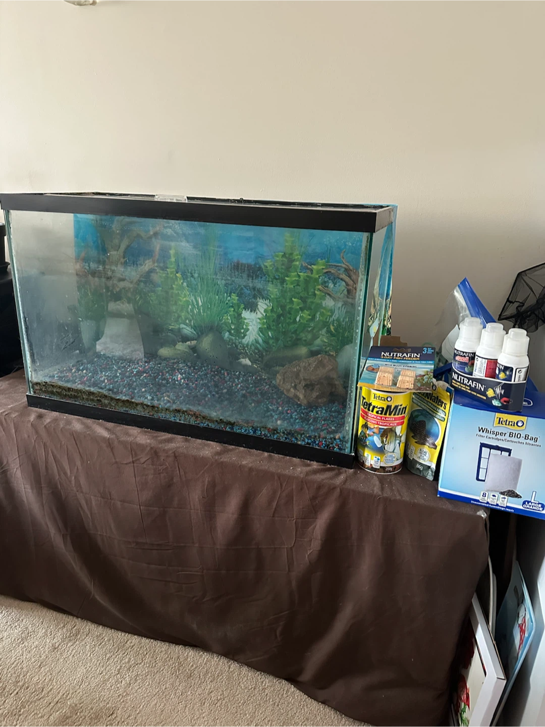 Glass Aquarium Tank with Supplies