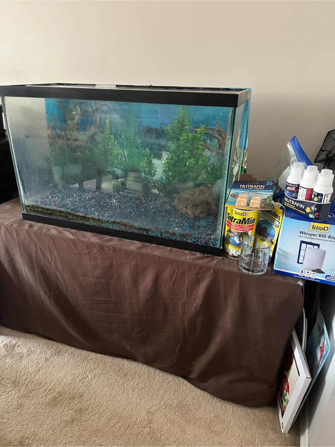 Glass Aquarium Tank with Supplies - photo 2
