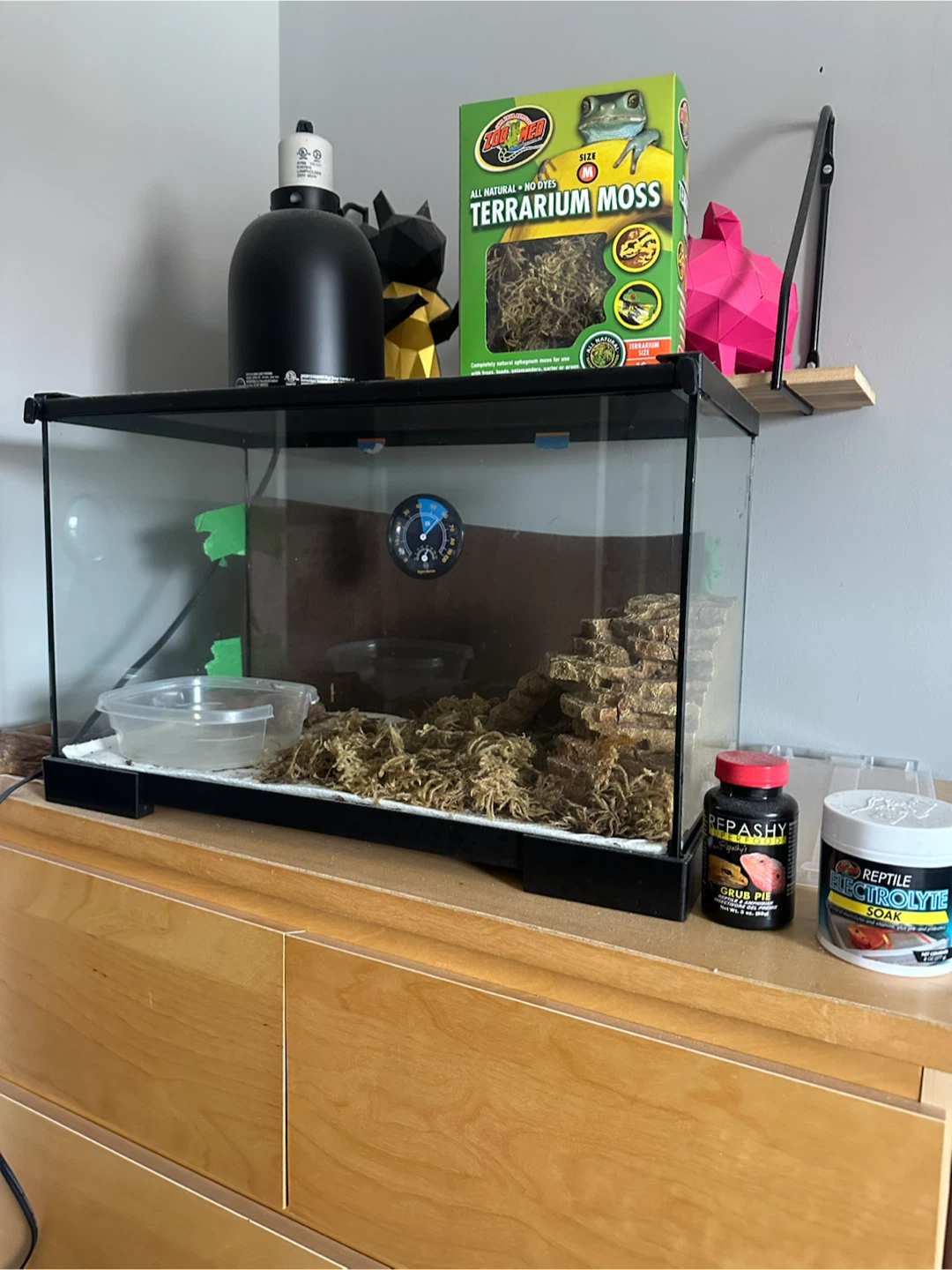 Glass Aquarium Tank with Supplies - photo 3