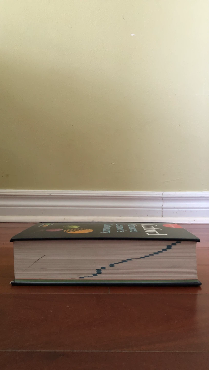 Oxford Advanced Learner's Dictionary - 9th Edition - photo 3