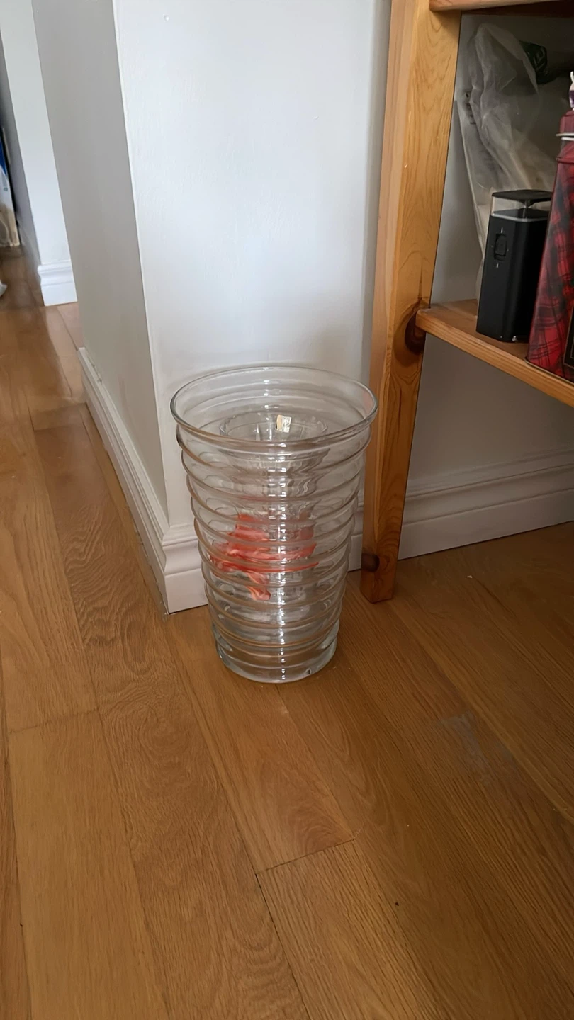 Clear Glass Ribbed Vase