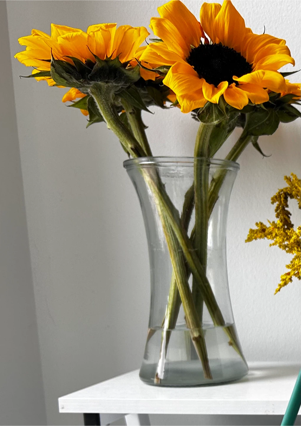 Clear Glass Hourglass Vase