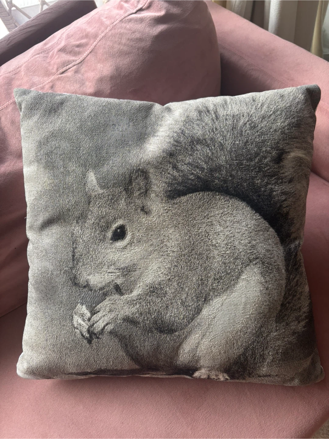 Decorative squirrel throw pillow